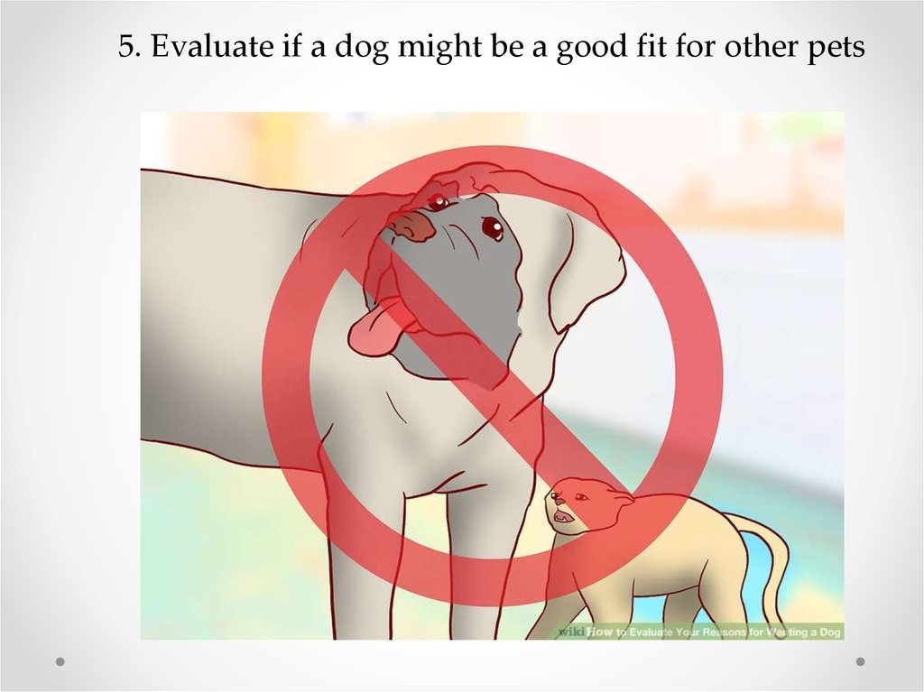 5. Evaluate if a dog might be a good fit for other pets