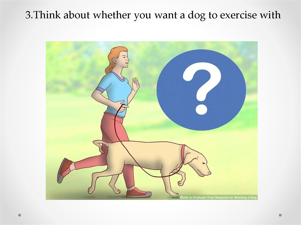 3.Think about whether you want a dog to exercise with