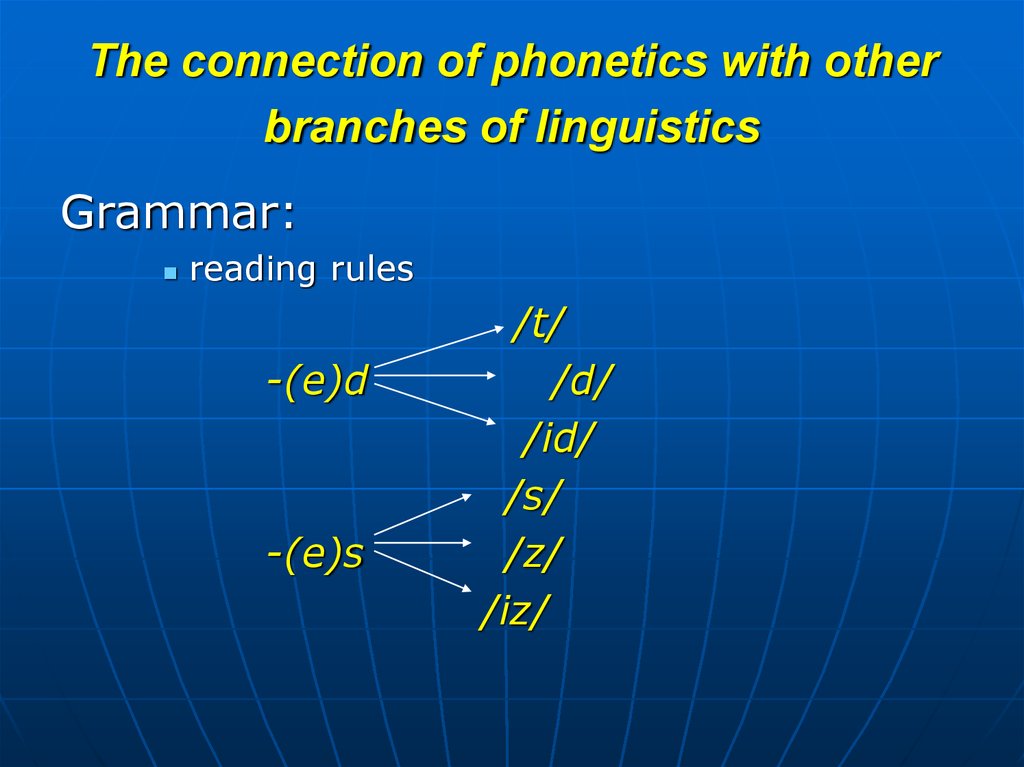 The connection of phonetics with other branches of linguistics