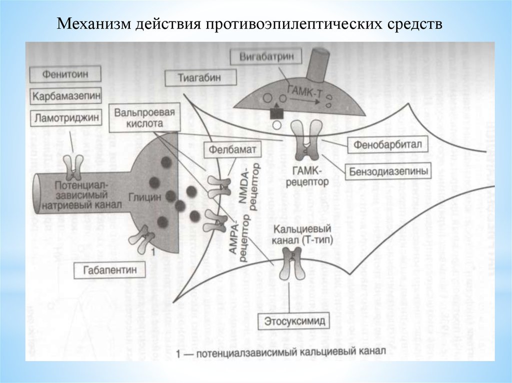 Механизм противоэпилептического действия. Противоэпилептические препараты механизм действия. Противопаркинсонические препараты механизм действия. Механизм действия противоэпилептических средств. Механизм действия противопаркинсонических средств схема.