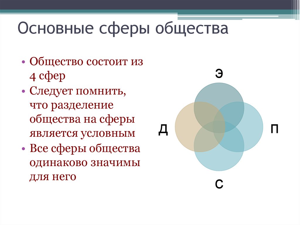 Основные сферы человека