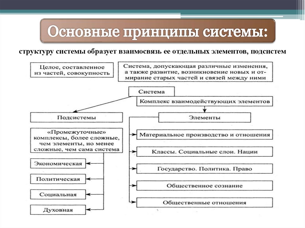 Принципы системы общества. Основные принципы системы. Базовые принципы системы.  Назовите основные принципы системы..