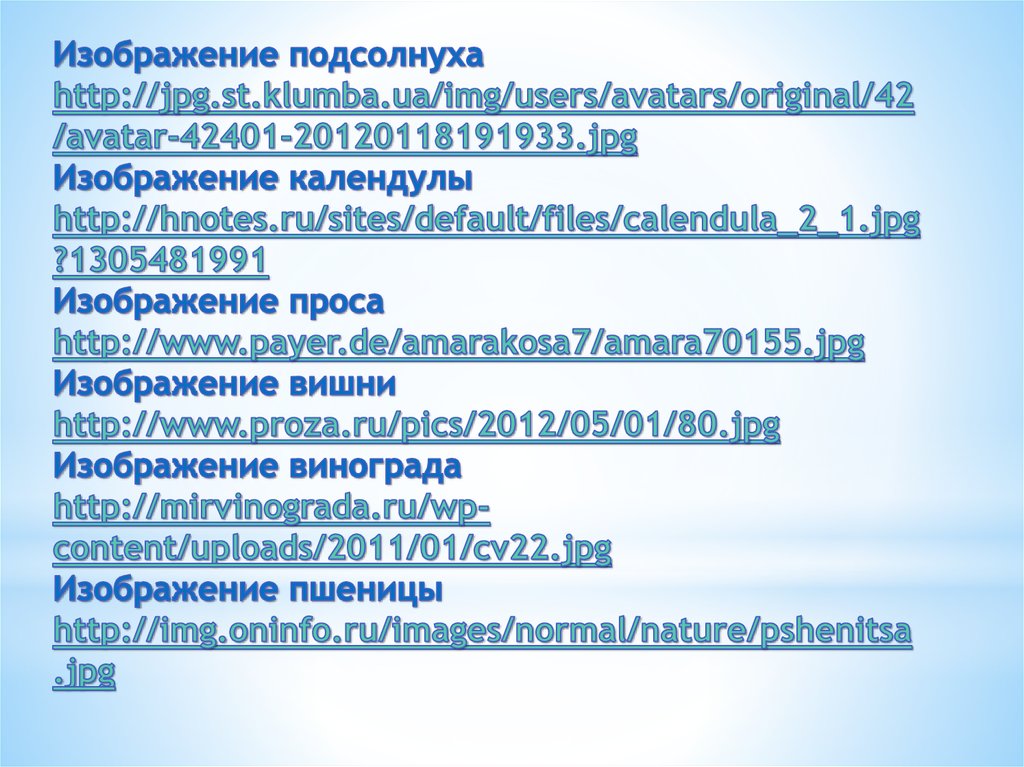Изображение подсолнуха http://jpg.st.klumba.ua/img/users/avatars/original/42/avatar-42401-20120118191933.jpg Изображение