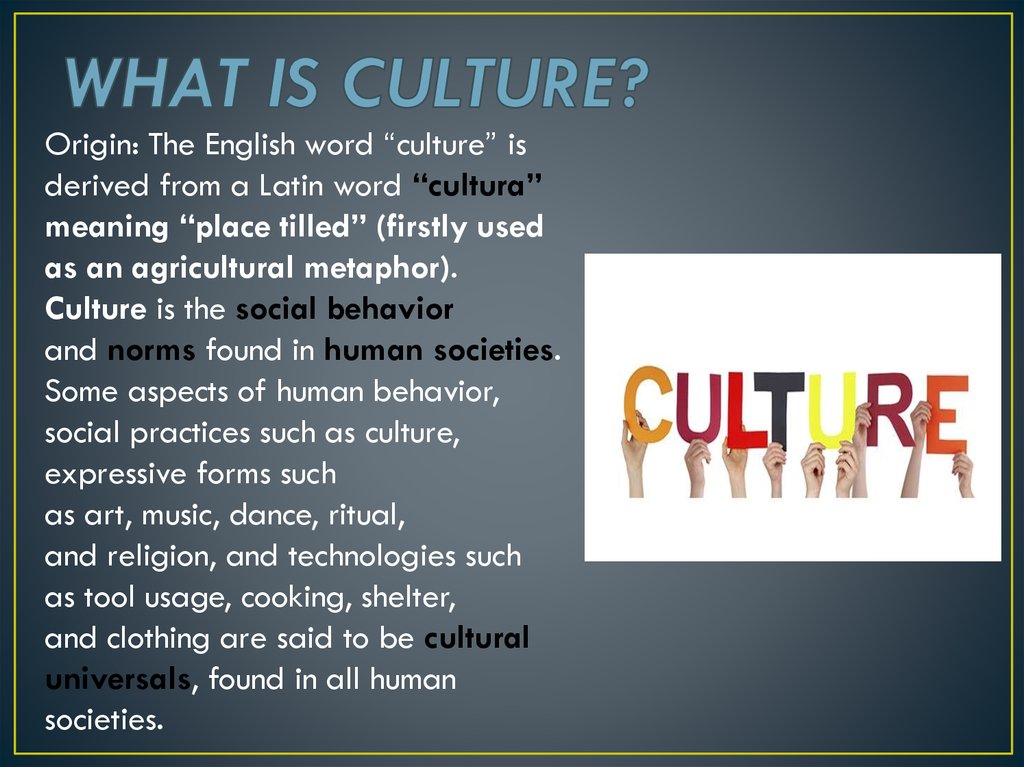 Definition Of Culture