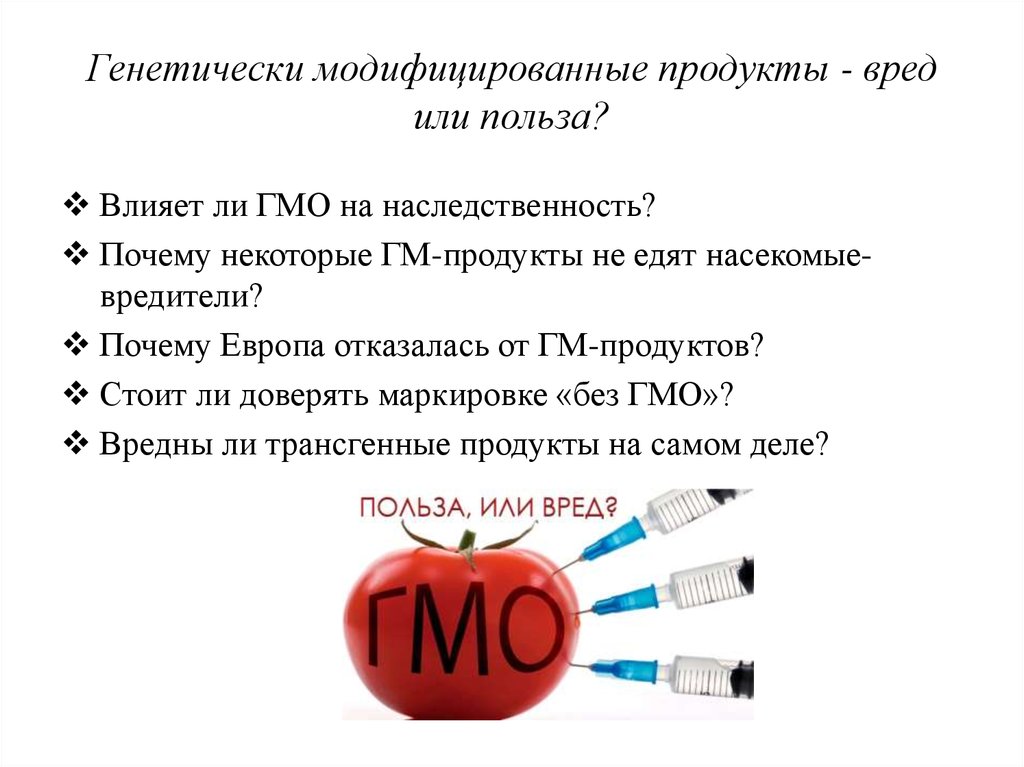 Гмо расшифровка. Вред ГМО. Генномодифицированные продукты вред. ГМО вред или польза. Генетически модифицированные продукты питания.