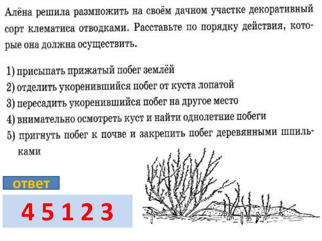 Агротехнический прием растений. Агротехнические приемы выращивания растений. Агротехнические приемы биология 6 класс. Агротехнические приемы выращивания культурных растений. Агротехнический прием для выращивания березы.