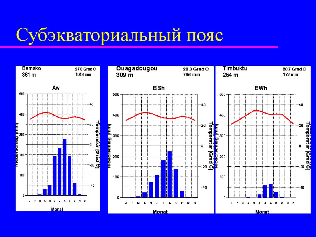 Режим осадков во флориде