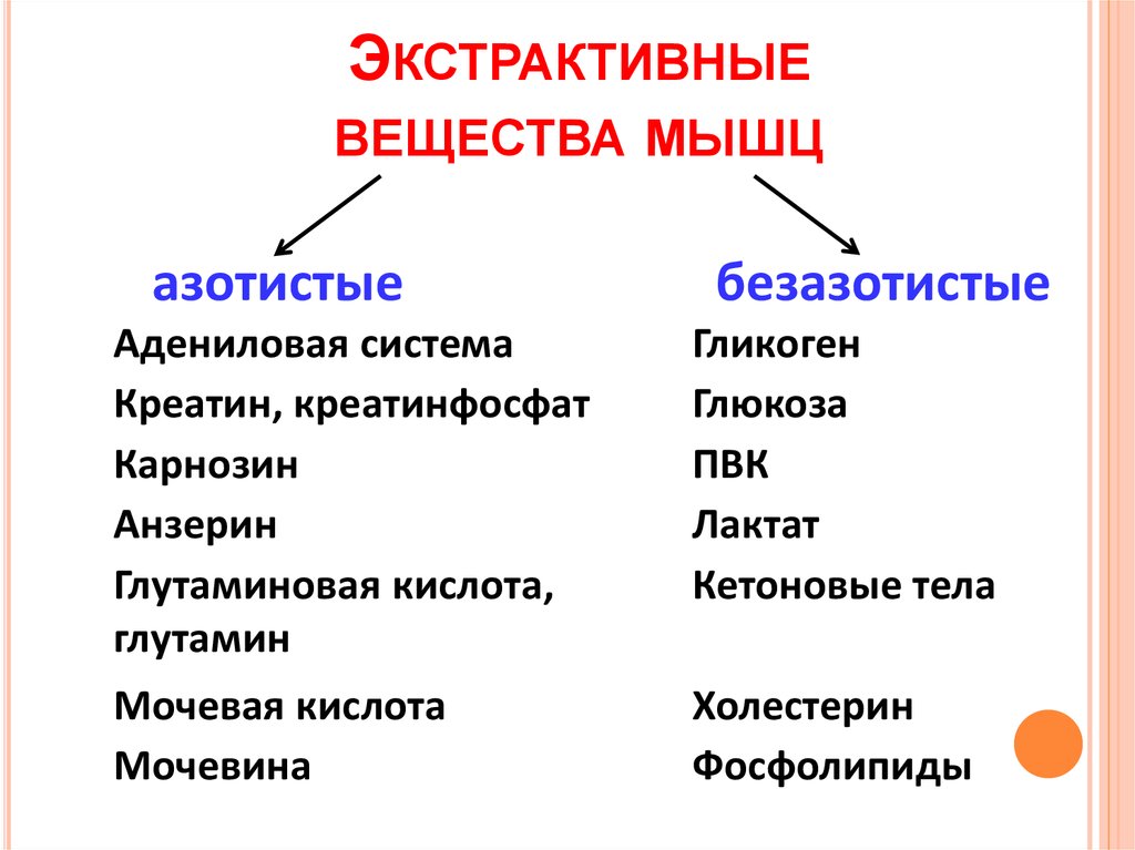 Что такое экстрактивные вещества бульоны