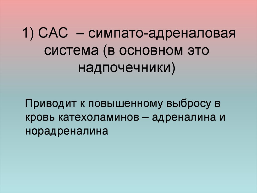 Симпато адреналовая система презентация