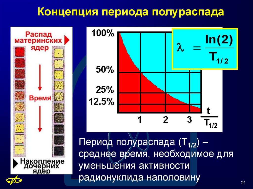 Период распада радиации