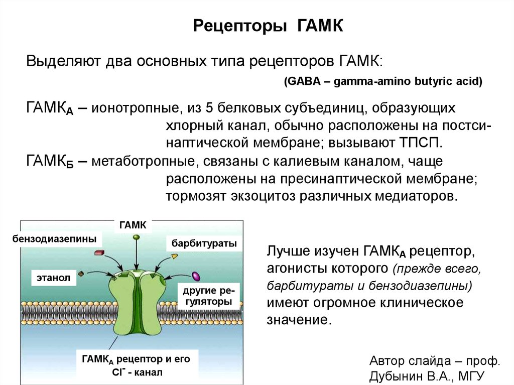 Механизм действия гамк схема