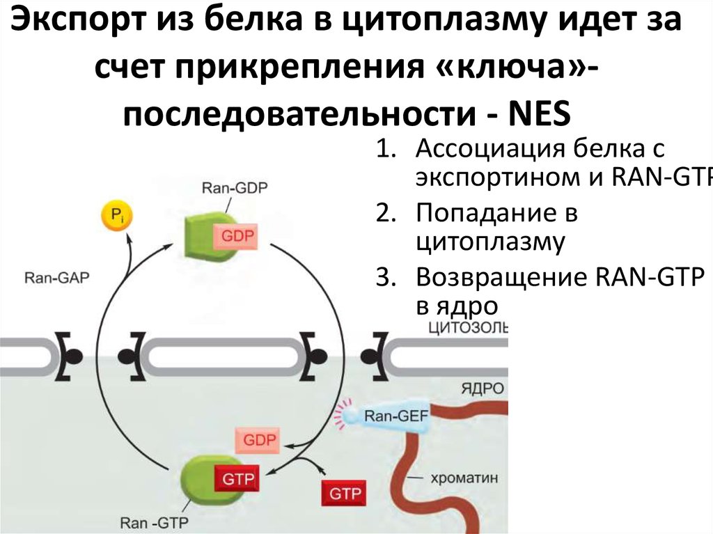 Молекулярные процессы