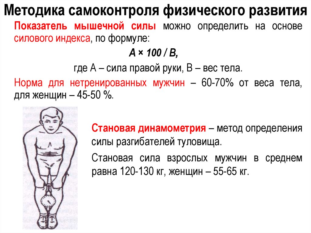 Норма измерения. Кистевой динамометр нормативы для мужчин. Становая динамометрия показатели. Сила сжатия кисти норма у мужчин. Становая динамометрия норма у взрослых.