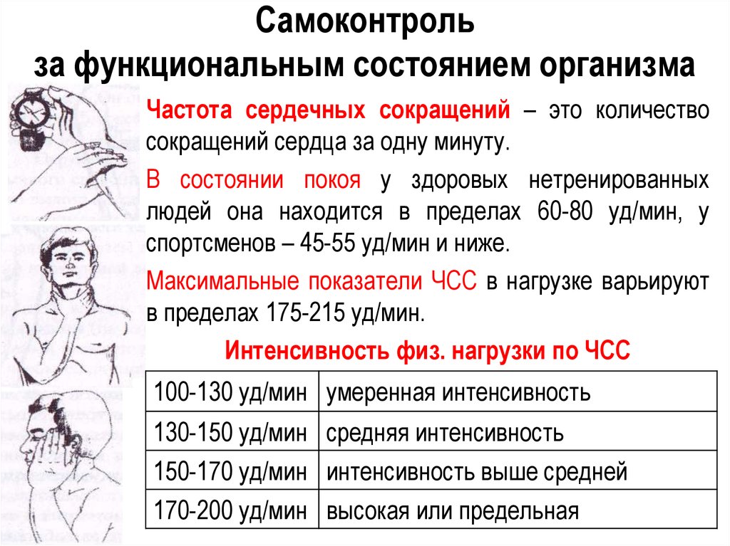 Измерение чсс картинка