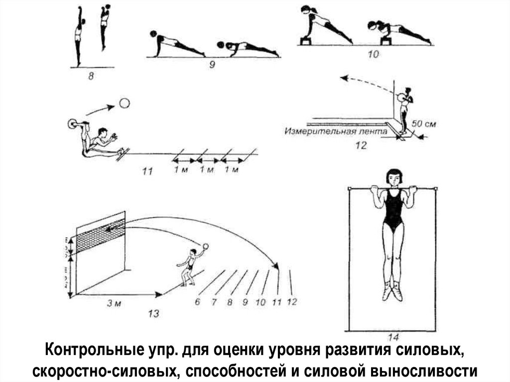 Развитие силовых качеств. Контрольные упражнения для оценки скоростно-силовых способностей. Методика развития скоростно-силовых способностей. Основы воспитания силовых способностей в гимнастике. Упражнения для развития скоростно-силовых качеств для футболиста.