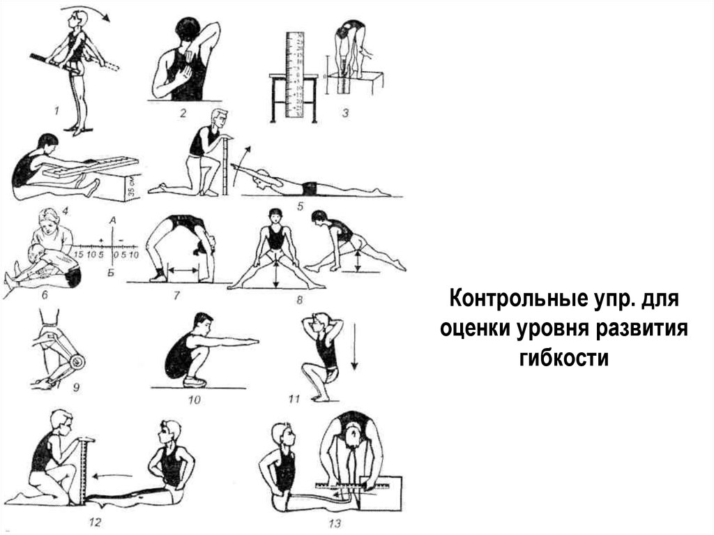Тест силовых упражнений. Контрольные упражнения (тесты) для оценки уровня развития гибкости. Упражнения для развития гибкости. Упражнения для определения гибкости. Упражнения для совершенствования гибкости.