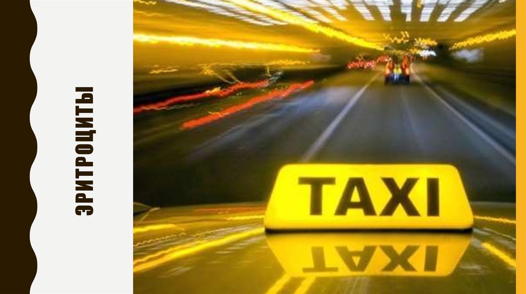 Эритроциты