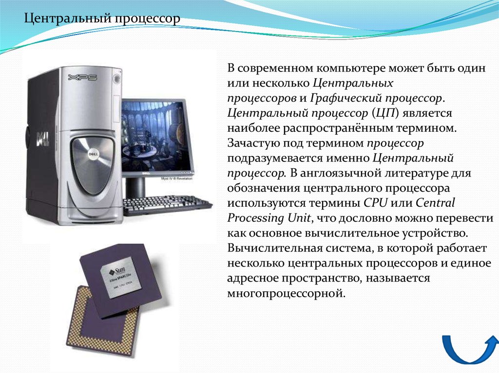 Несколько процессоров. Процессор понятие. Типы современных компьютеров процессор. Виды процессоров для компьютера. Виды графических процессоров.