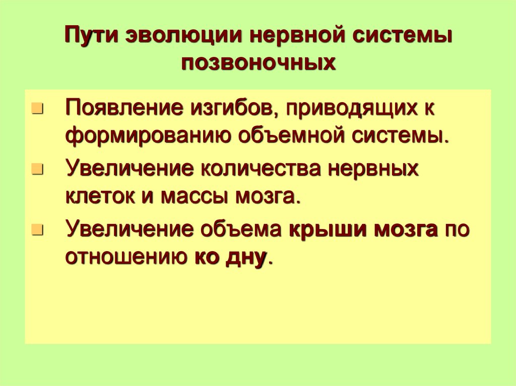 Пути эволюции. Основные направления эволюции нервной системы. Основные направления эволюции нервной системы позвоночных. Специализация путь эволюции.