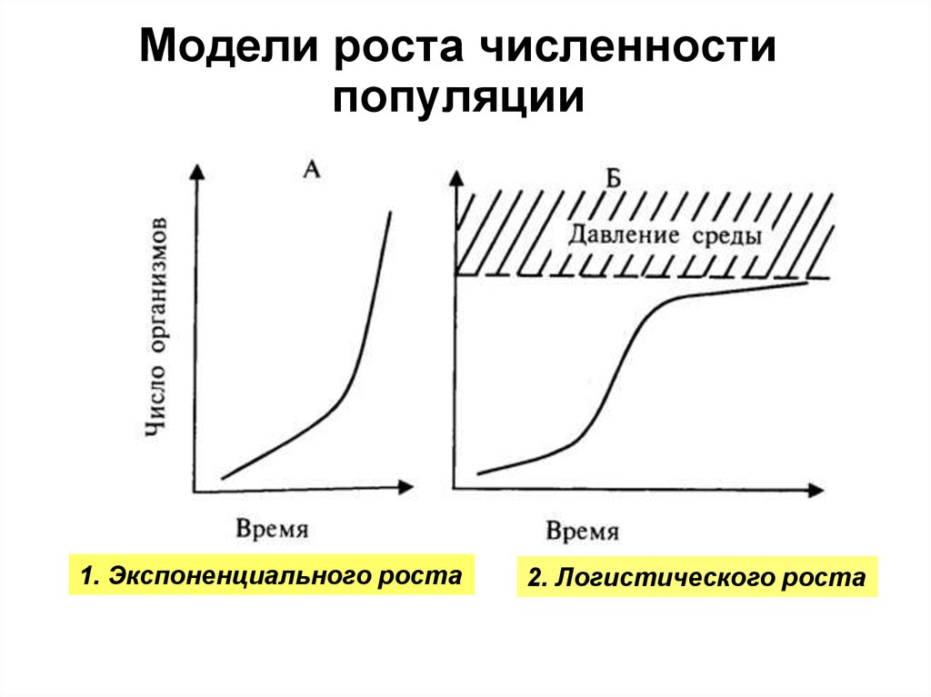 Биотический потенциал. Логистическая модель роста популяции. Логистическая кривая роста численности популяции. Экспоненциальная модель роста численности популяции. Типы роста популяций.
