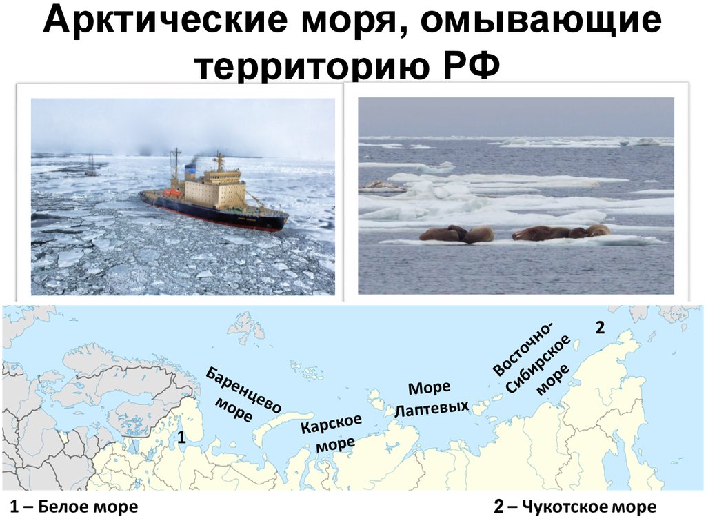 2 моря омывающие территорию россии