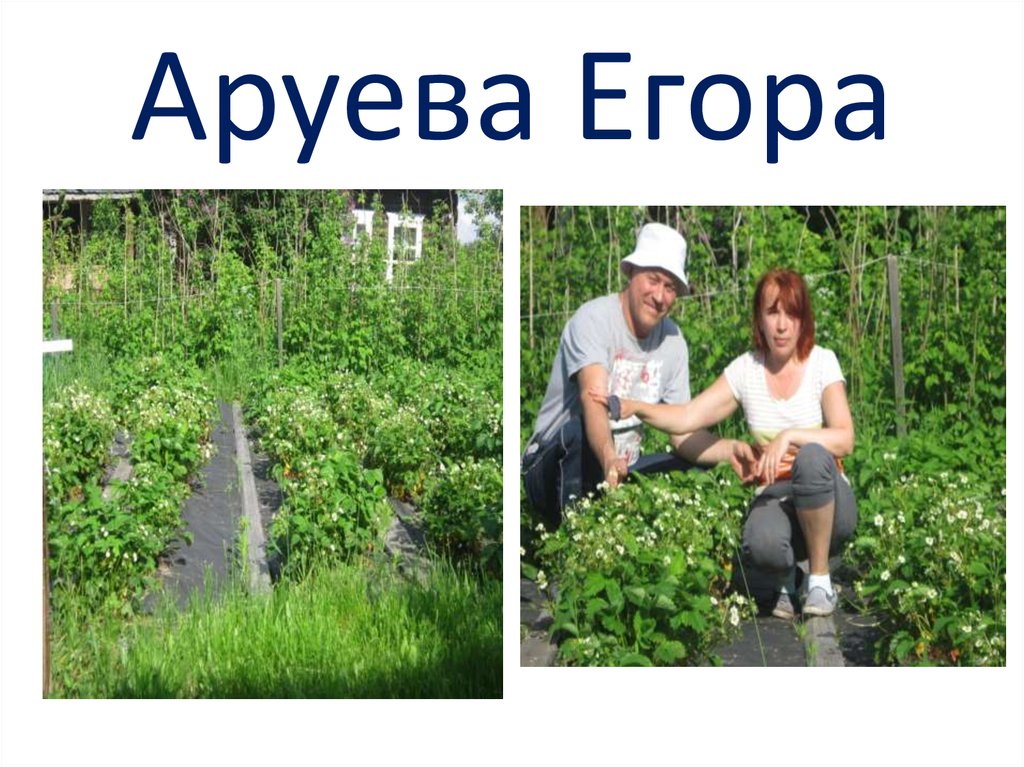 Аруева Егора
