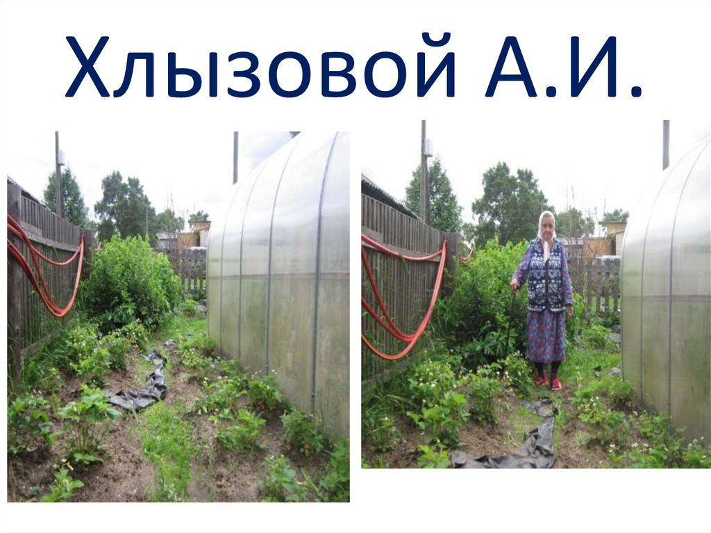 Хлызовой А.И.