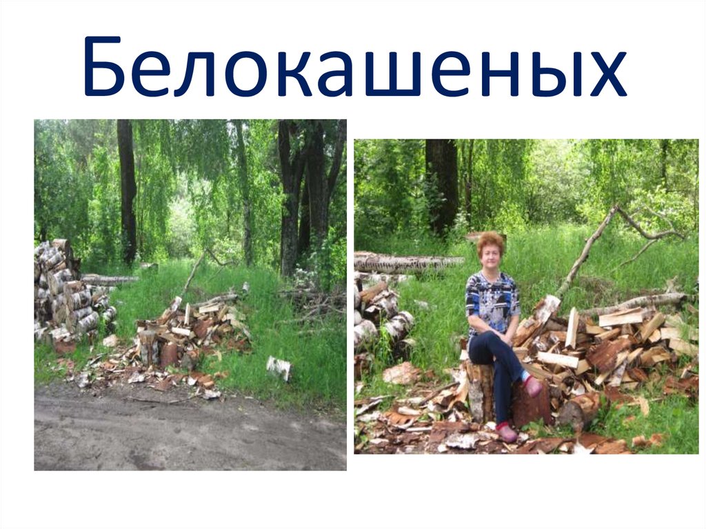 Белокашеных