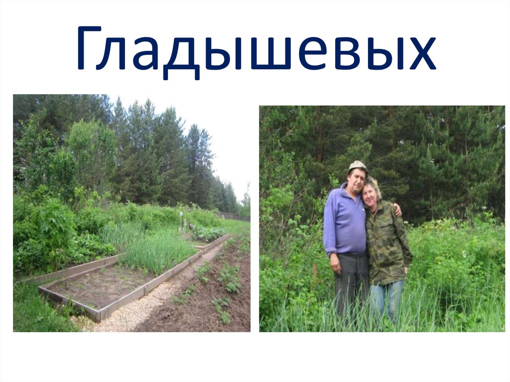 Гладышевых