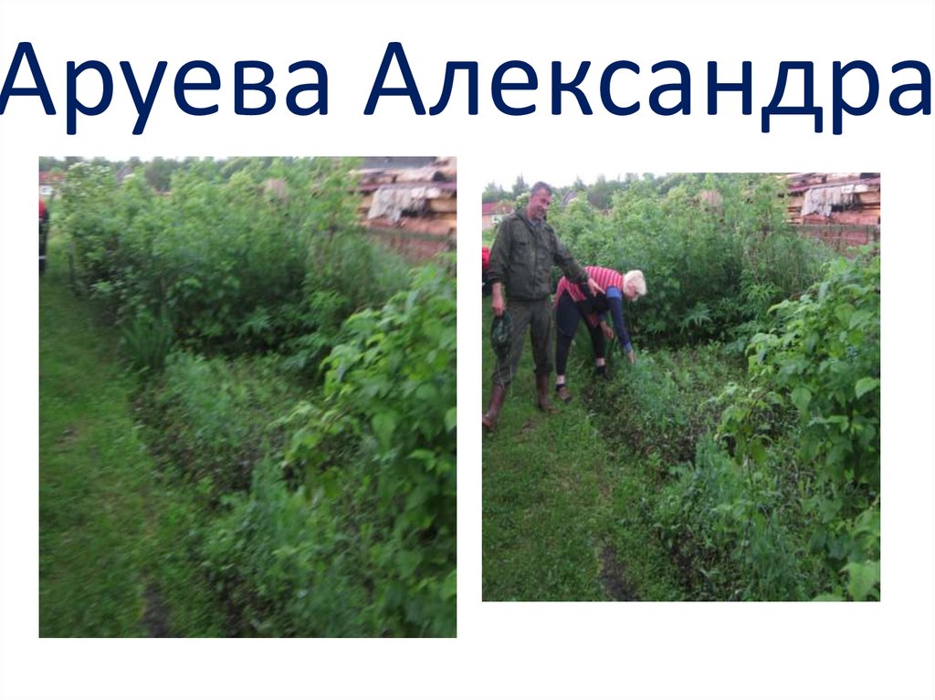 Аруева Александра