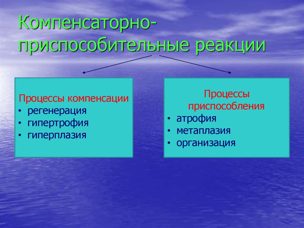 Компенсаторно приспособительные реакции схема