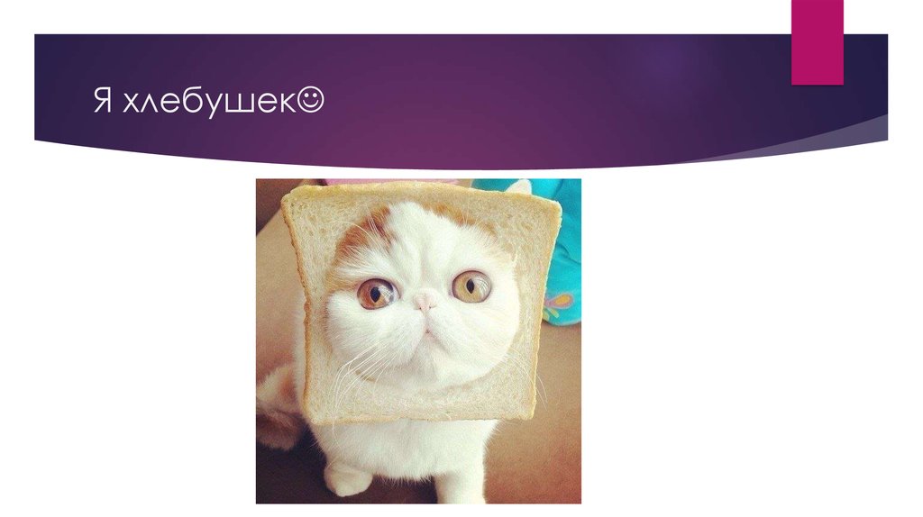 Я хлебушек