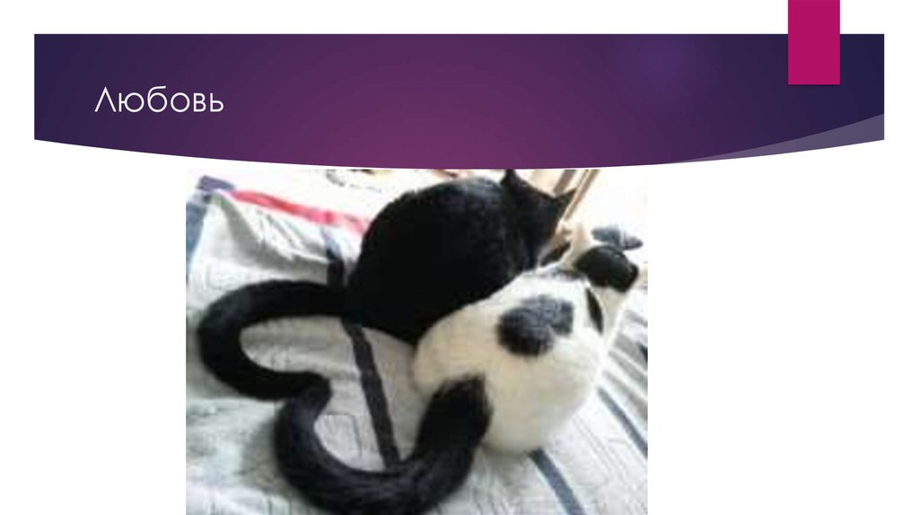 Любовь