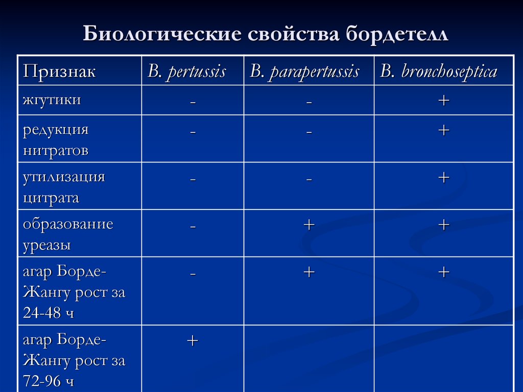 Бордетелла бронхисептика. Лабораторная диагностика коклюша. Бордетеллы биологические свойства. Бордетеллы микробиология биохимические свойства. Бордетеллы диагностика.