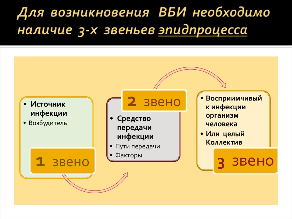 Схема цепочки инфекционного процесса