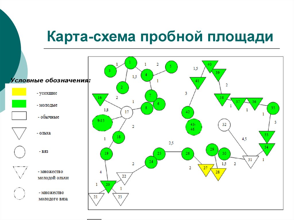 Карта схема пример