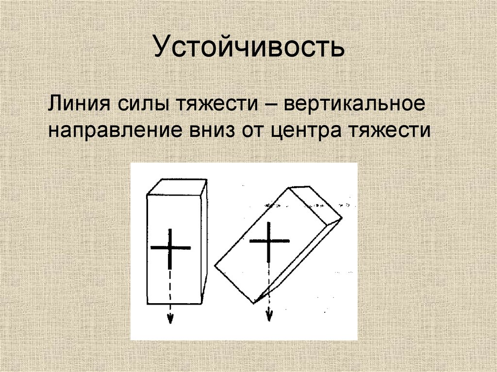 Вертикальное направление. Линия тяжести. Направление центра тяжести. Линия силы.