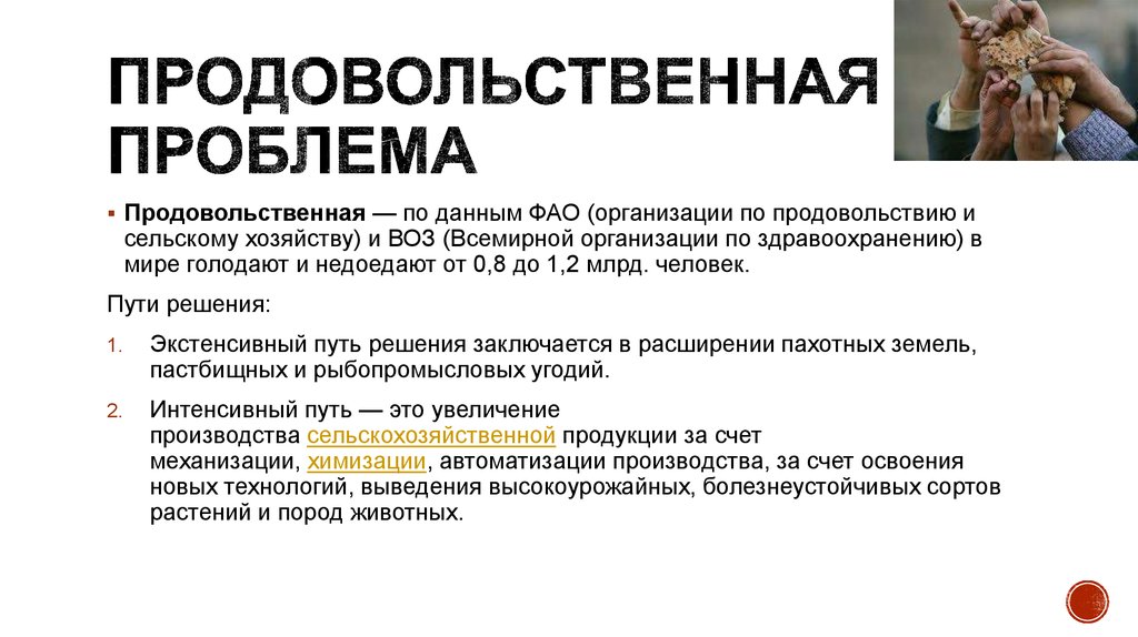 Как решить продовольственную проблему. Решение продовольственной проблемы человечества. Причины возникновения продовольственной проблемы. Продовольственная проблема пути решения. Продовольственная проблема пути оешпний.