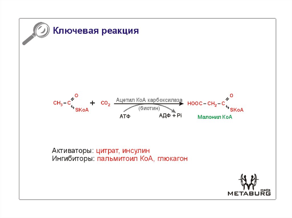 Ацетил коа в митохондриях. Химическая структура ацетил КОА. Ацетил КОА образуется в реакции. Реакция ацетил ко а карбоксилазы. Ацетил КОА формула биохимия.