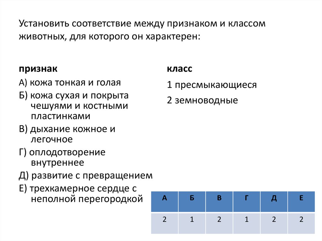 Установи соответствие между классом животных