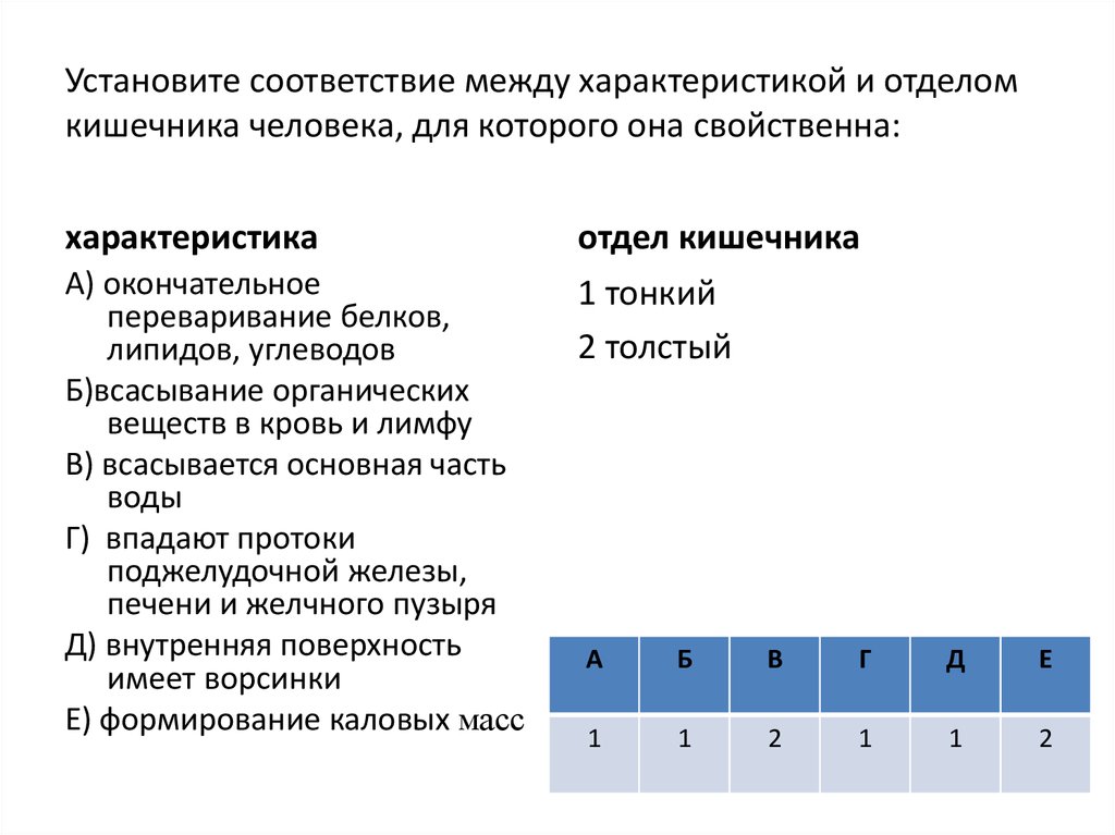 Вопросов на установление соответствия. Установите соответствие между характеристиками и отделами кишечника. Установите соответствие между характеристиками. Выбери соответствие между характеристикой и отделом кишечника. Установите характеристику между отделом кишечника человека.