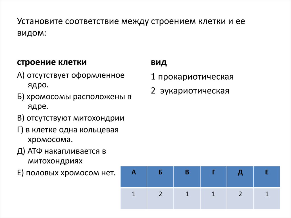 Установите соответствие между характеристиками ткани. Соответствие между структурами растительной клетки и их функциями. Установите соответствие между анатомическими структурами. Установите соответствие между признаками и организмами. Установите соответствие между видами.