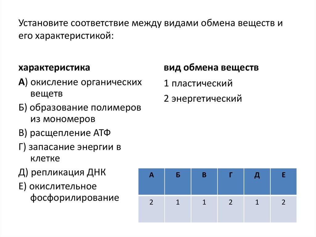 Характеристика видов обмена