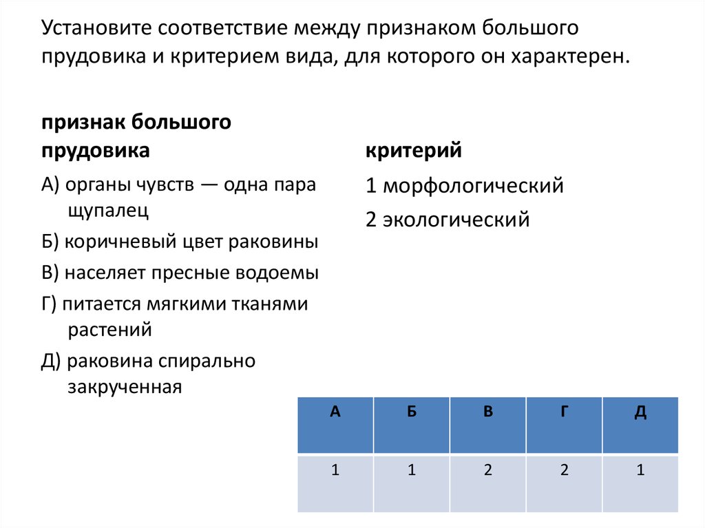 Видов 95