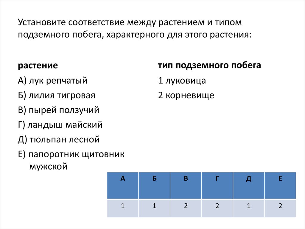 Установите соответствие между признаком и типом