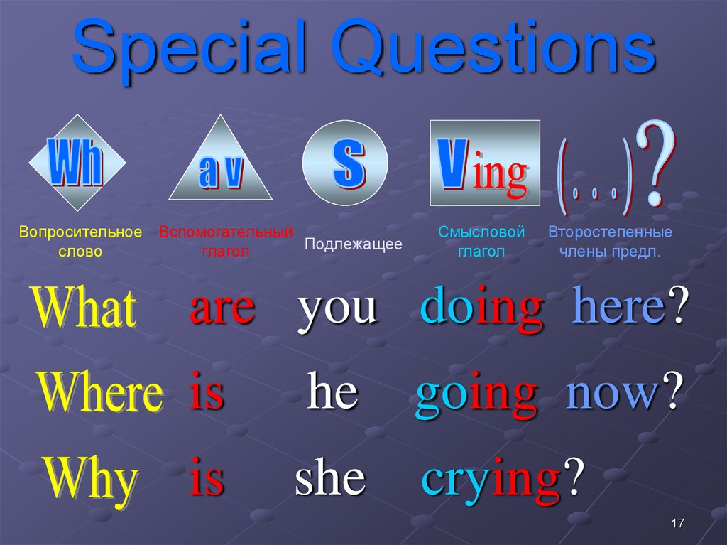 Special Questions