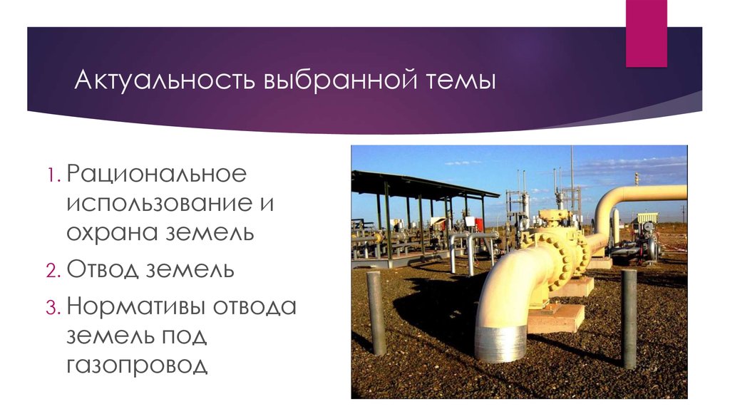 Актуальность выбранной темы