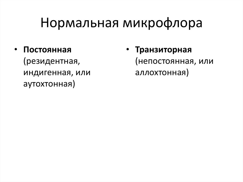 Транзиторная микрофлора