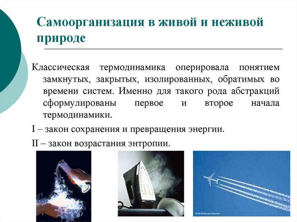 Именно система. Самоорганизация в неживой природе. Самоорганизация в живой природе. Самоорганизация в живой и неживой природе примеры. Самоорганизация в живой природе примеры.