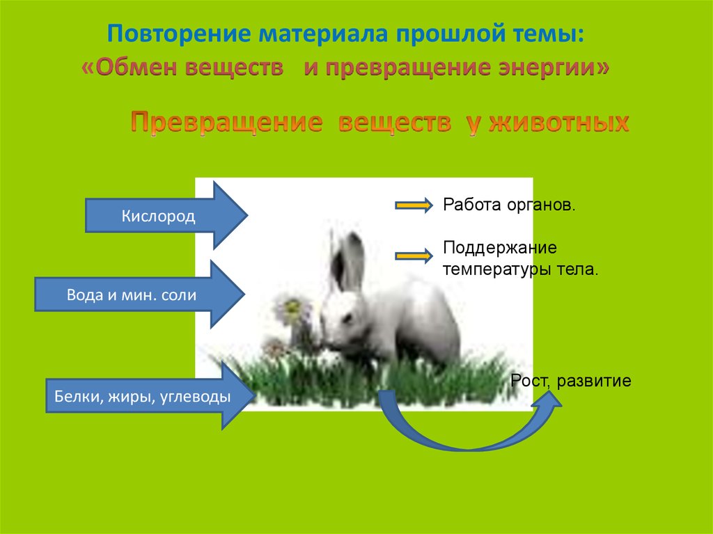 Обмен веществ и превращение энергии кратко